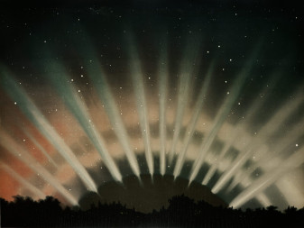 Empower Your Garden with the Magic of the 4 Elements_Blog Feature Image_CMA