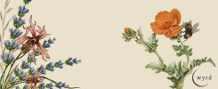 Litha_Feature Blog Image_CMA