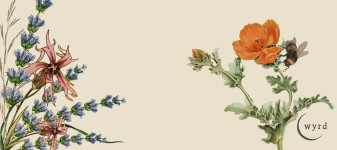 Litha_Feature Blog Image_CMA