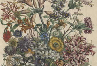 Magical Flowers: Quotes and Spells for Our Constant Friends_Blog Feature Image_CMA