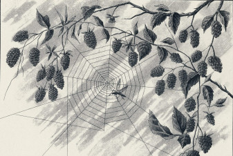 Garden Magic for the Season of the Crone_Feature Image